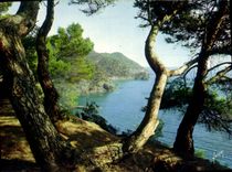 CPSM La Cote d'Azur miracle de la natre Paysage Varois 