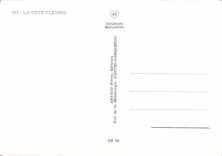 CPSM La Cote Fleurie villers sur mer