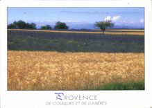 CPSM Provence de Couleurs et de Lumieres 