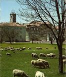 CPSM St Vallier Thiey Alpes Maritimes le grand Pre et la vieille eglise du XII siecle 