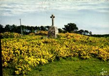 CPSM La Bretagne en Couleurs le Calvaire sur la Lande Bretonne 