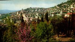 CPSM La Cote d'Azur miracle de la nature Grasse Alpes Maritimes vue generale 