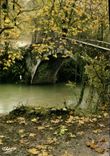 CPSM Le Pays Basque Saint Jean Pied de Port le pont romain d'Eyharalerry 