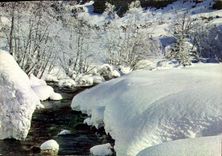 CPSM L'Hiver dans nos Montagnes Feerie neiguese 
