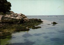 CPSM La Cote atlantique noirmoutier