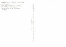 CPSM Couleurs et Lumiere de France En Perigord Pays des truffes et des Chateaux Sarlat Dordogne Anci