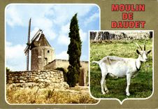 CPSM Provence Le Moulin de Daudet Le Moulin de Daudet et la chevre de Mr Seguin sont inseparables et