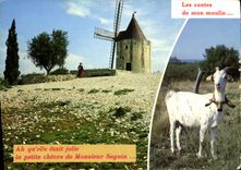 CPSM Lumiere de Provence Au bord des Alpilles le moulin d'Alphonse Daudet 