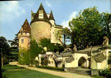 CPSM Couleurs et Lumiere de France Chateau des Milandes Castelnaud et Fayrac Dordogne 