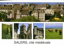 CPSM Salers Cantal Village de France Vue panoramique sur la cite moyenageuse La gentiane 