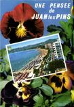 CPSM La Cote d'Azur Juan les Pins l'Avenue Guillaumont et la plage 