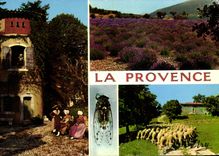 CPSM La Provence 
