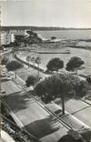 CPA Cannes la promennade de la Croisette dans le fond le casino du Palm Beach et l'Ile Seinte Margue