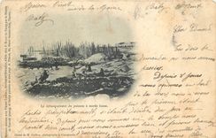 CPA Le debarquement du poisson a maree basse
