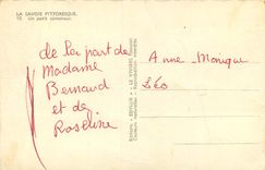 CPA Savoie pittoresque un petit romoneur