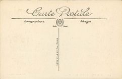 CPA Lourdes La Basilique Palais du Rosaire