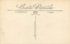 CPA Lourdes L'Esplanade et la Basilique