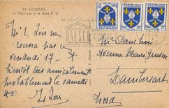 CPA Lourdes La Basilique et le Gave P D