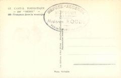 CPA Cantal Touristique par michel Troupeau dans la montagne