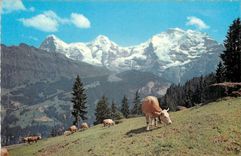 CPA Elger Monch und Jungfrau