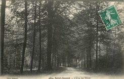 CPA Saint Amand L'Allee des Hetres