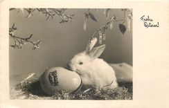 CPA Pâques lapin