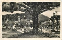 CPA San Seba Jardines Municipal