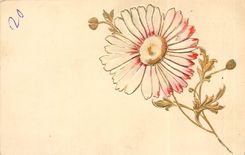 CPA fleur relief
