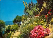 CPSM La Cote d'Azur miracle de la nature jardin fleuri de la Cote d'Azur