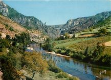 CPSM Gorges du Tarn (Lozere) Les Vignes