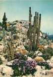 CPSM La Cote d'Azur French Riviera Jardin Exotique
