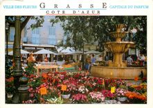 CPSM Grasse (A M) Villes des fleurs Capitale du Parfun le marche aux fleurs et la Fontaine