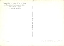 CPSM Saint Tropez (Var) Le Port des pecheurs