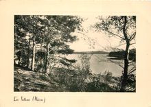 CPSM Un Coin du Lac Le Lac a une superficie de 360 ha