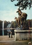 CPSM Chateau de Sceaux -(Hautes de Seine) Le Parc Bassin de l'Octogone Groupe de Cerfd et les Grande