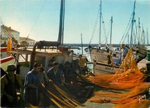 CPSM Sete (Herault) le Port de peche