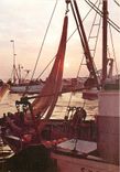 CPSM Bateaux de Peche au coucher du Soleil
