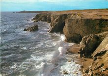 CPSM Presqu'il de Quiberon (Morbihan) La Cote sauvage