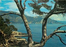 CPSM Cote d'Azur St Jean Cap Ferrat Vue prise de la promenade Maurice Rouvier