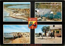 CPSM Les Saintes Maries de la Mer (Camargue) Souvenir des Saintes Maries de la Mer