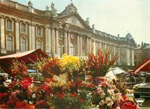 CPSM Toulouse La Ville Rose Le Marche aux fleurs sur la Place du Capitole
