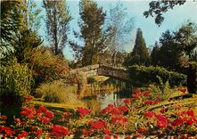 CPSM Parc Floral de la Source Orleans