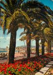 CPSM Cannes (A M) La Croisette et le Suquet