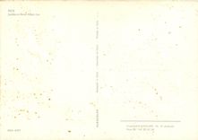 CPSM Nich Jardins et Hotel Albert Ier