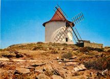 CPSM La Corse oasis de Beaute Tous les vents du Cap Corse