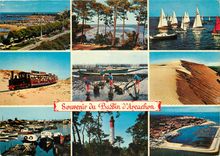 CPSM Souvenir du Bassin d'Arcachon