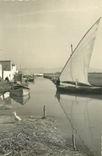 CPSM Valencia et Palmar Canal de Albudera