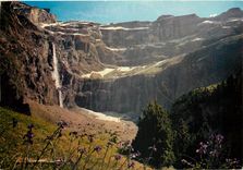 CPSM Les Pyrenees Gavarnie (Hautes Pyrenees) Champ d'Iris et cirque de Gavarnie