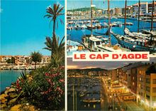 CPSM Nice le marche du cours Saleya