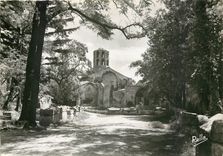 CPSM La Provence Arles sur Rhone Les Alyscamps et l'Eglise St Honorat